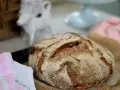 Ett nybakat, gyllene **pan francés salvadoreño** med en härlig skorpa. Bredvid ligger en vit handduk med rosa mönster.