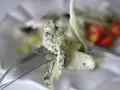 En gaffel med en krämig sallad, kanske med inslag av papayakärnor, nära körsbärstomater.
