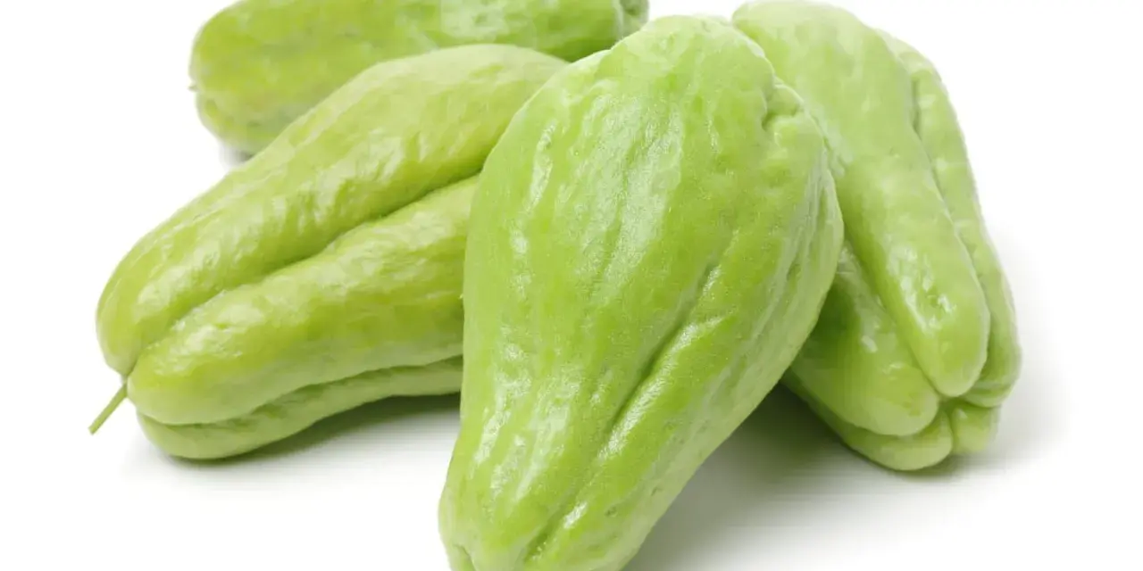 En grupp ljusgröna chayote-frukter, även kända som "que es chayote", ligger på en vit bakgrund.