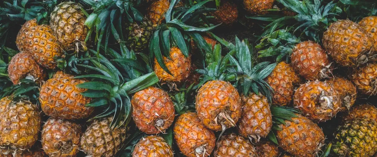 En bild fylld med saftiga ananaser, redo att ge dig 10 beneficios de la piña. Deras gyllene skal och gröna blad skapar en härlig syn.
