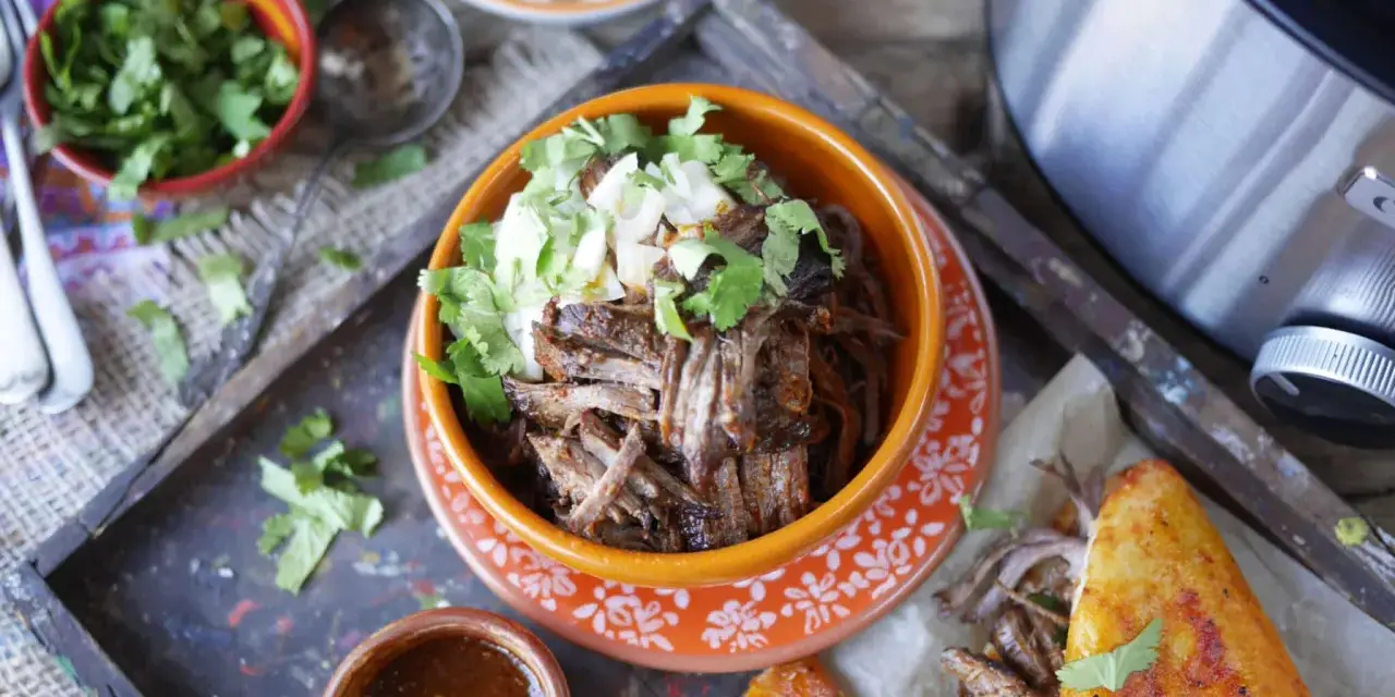 En skål med saftig, långkokt högrev (birria de res) toppad med lök och koriander. Serveras med en liten skål med sås och en gyllene quesadilla.
