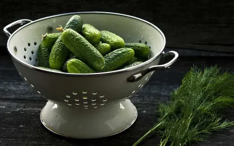 En skål med gurkor, som väcker frågan: el pepino es fruta o verdura? Bredvid ligger färsk dill.