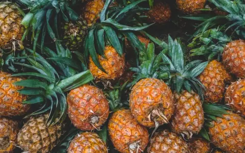 En bild fylld med saftiga ananaser, redo att ge dig 10 beneficios de la piña. Deras gyllene skal och gröna blad skapar en härlig syn.