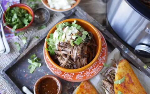 En skål med saftig, långkokt högrev (birria de res) toppad med lök och koriander. Serveras med en liten skål med sås och en gyllene quesadilla.