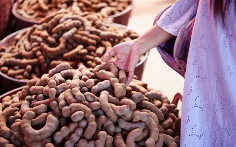 En hand plockar tamarindfrukter, kända för sina hälsofördelar.