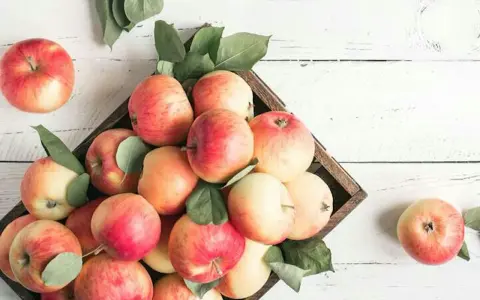 Äpplen i en låda, fulla av vitaminer. En frisk och naturlig skörd.