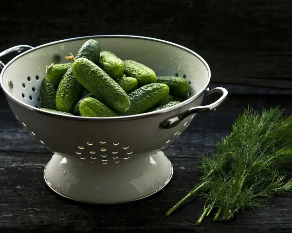 En skål med gurkor, som väcker frågan: el pepino es fruta o verdura? Bredvid ligger färsk dill.