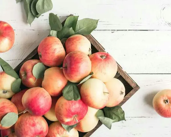 Äpplen i en låda, fulla av vitaminer. En frisk och naturlig skörd.