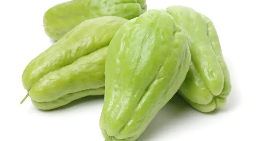 En grupp ljusgröna chayote-frukter, även kända som "que es chayote", ligger på en vit bakgrund.