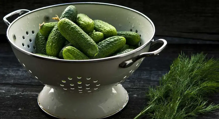En skål med gurkor, som väcker frågan: el pepino es fruta o verdura? Bredvid ligger färsk dill.