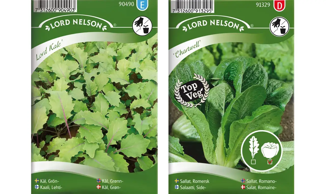 Från Lord Nelson, olika tipos de lechuga: grönkål 'Lord Kale' och romansallat 'Chartwell'.