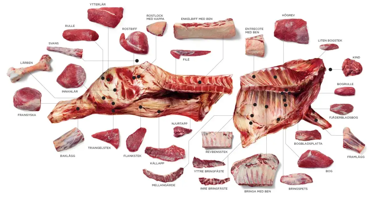 Detaljerad illustration av olika cortes de carne de res, med svenska namn som ytterl&aring;r, entrecote och bog.
