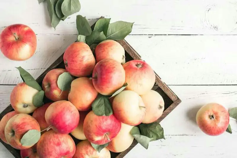 Äpplen i en låda, fulla av vitaminer. En frisk och naturlig skörd.